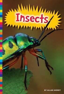 Insects by Allan Morey