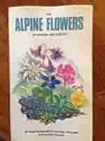 Alpine Flowers of Britain and Europe (Collins Field Guide) by Christopher Grey-Wilson