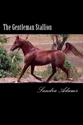 The Gentleman Stallion by Sandra Adams