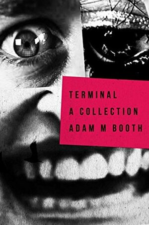 Terminal: A Collection Of Horror Novellas by Adam M. Booth