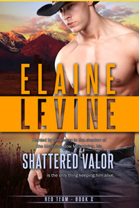 Shattered Valor by Elaine Levine