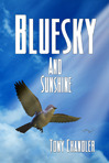 Bluesky and Sunshine by Tony Chandler