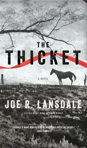 The Thicket by Joe R. Lansdale