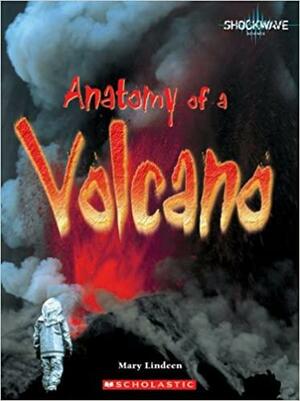 Anatomy of a Volcano by Mary Lindeen