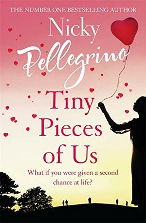 Tiny Little Pieces of Us by Nicky Pellegrino