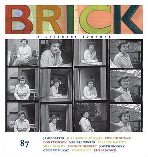 Brick: A Literary Journal, 87 by Michael Redhill