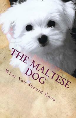 The Maltese Dog: What You Should Know by Victor Santos