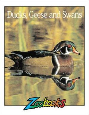 Ducks, Geese & Swans by John Bonnett Wexo