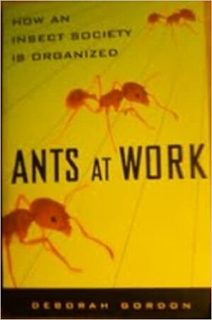Ants At Work by Deborah M. Gordon