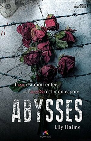 Abysses (Roman) by Christine Gauzy-Svahn, Lily Haime