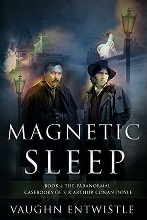 Magnetic Sleep by Vaughn Entwistle