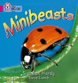 Minibeasts by Siobhan Hardy