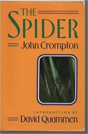 The Spider by John Crompton