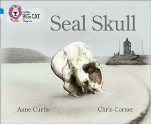 Seal Skull by Chris Corner, Anne Curtis