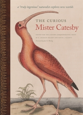 The Curious Mister Catesby: A "truly Ingenious" Naturalist Explores New Worlds by 