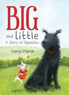 Big and Little: A Story of Opposites by Cheryl Pilgrim