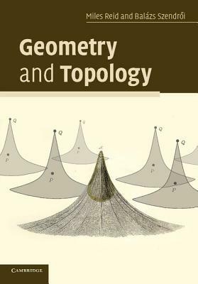 Geometry and Topology by Balazs Szendroi, Miles Reid