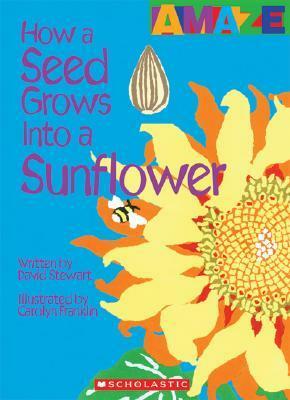 How a Seed Grows Into a Sunflower by David Stewart
