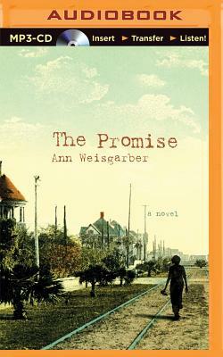 The Promise by Ann Weisgarber