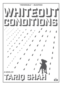 Whiteout Conditions by Tariq Shah