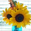 kalie_universe_pristineprose's profile picture