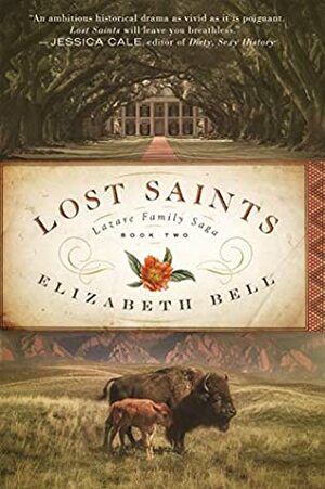 Lost Saints by Elizabeth Bell