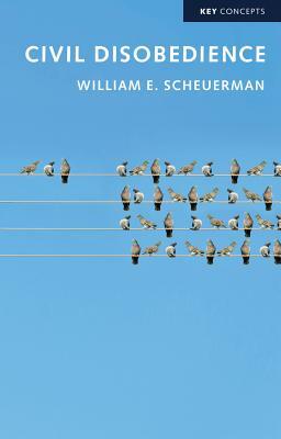 Civil Disobedience by William E. Scheuerman