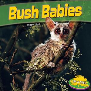 Bush Babies by Willow Clark