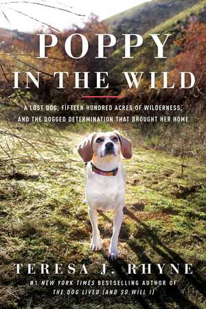 Poppy in the Wild: A Lost Dog, Fifteen Hundred Acres of Wilderness, and the Dogged Determination that Brought Her Home by Teresa Rhyne