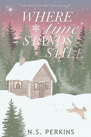 Where Time Stands Still by N.S. Perkins