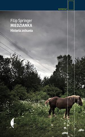 Miedzianka. Historia znikania by Filip Springer