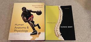 Human Anatomy & Physiology with eText & MasteringA&P Access Codes by Katja Hoehn, Elaine N. Marieb, Elaine N. Marieb