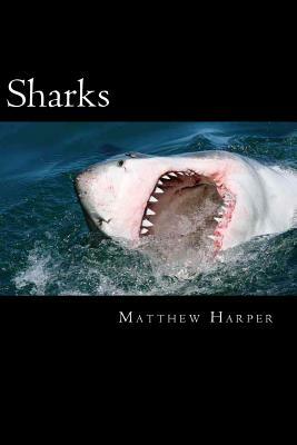 Sharks: A Fascinating Book Containing Shark Facts, Trivia, Images & Memory Recall Quiz: Suitable for Adults & Children by Matthew Harper