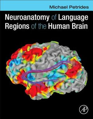 Neuroanatomy of Language Regions of the Human Brain by Michael Petrides