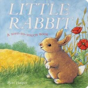 Little Rabbit: A Soft-To-Touch Book by Piers Harper