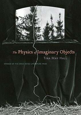 The Physics of Imaginary Objects by Tina May Hall