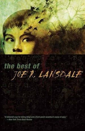 The Best of Joe R. Lansdale by Joe R. Lansdale
