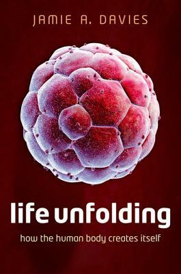 Life Unfolding: How the Human Body Creates Itself by Jamie A. Davies