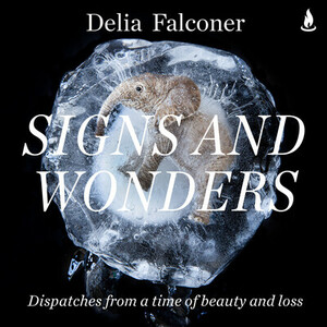 Signs and Wonders: Dispatches from a time of beauty and loss by Delia Falconer