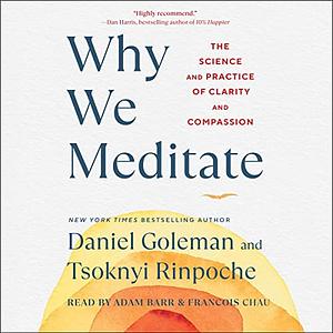 Why We Meditate: The Science and Practice of Clarity and Compassion by Tsoknyi Rinpoche, Daniel Goleman