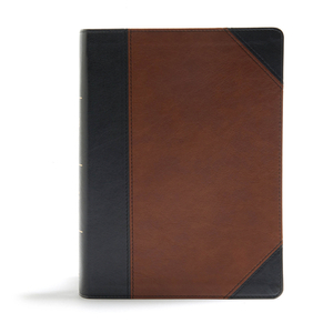 CSB Study Bible, Black/Brown Leathertouch by Csb Bibles by Holman