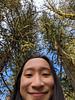 mossgreenmug's profile picture