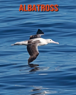 Albatross: Fun Learning Facts About Albatross by Sybil Edward