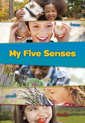 My Five Senses by Tracey Steffora