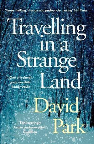 Travelling in a Strange Land by David Park