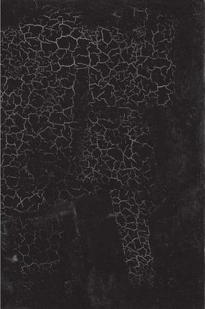 Black Square: Malevich and the Origin of Suprematism by Marian Schwartz, Aleksandra Shatskikh
