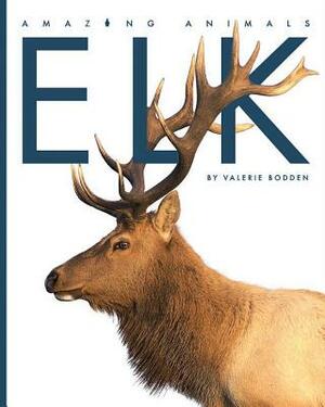 Elk by Valerie Bodden