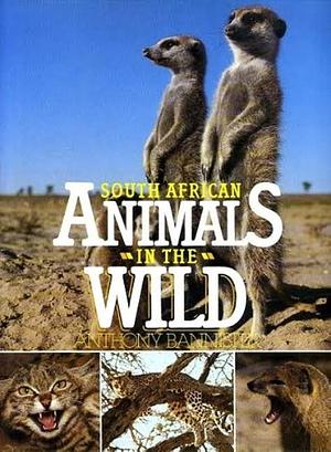 South African Animals in the Wild by Anthony Bannister