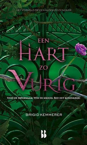 Een hart zo vurig by Brigid Kemmerer