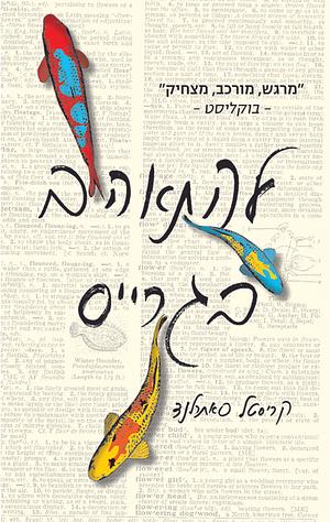 להתאהב בגרייס by Krystal Sutherland